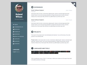 DevLite CV screenshot